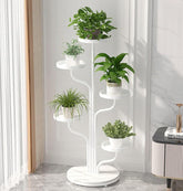 Organizador de Planta de 5 Camadas